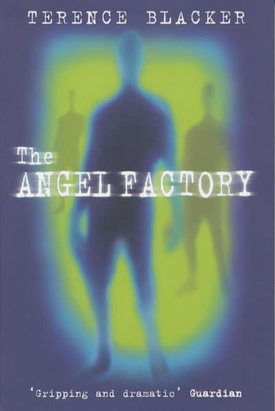 Cover for Terence Blacker · The Angel Factory (Paperback Bog) [Unabridged edition] (2002)