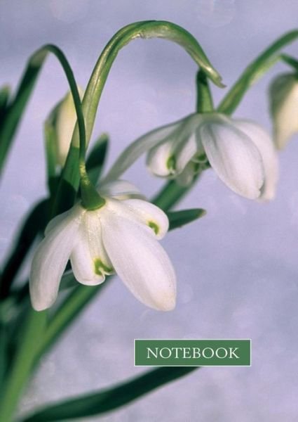 Cover for Peony Press · Notebook: Snowdrop (Stationery) (2016)