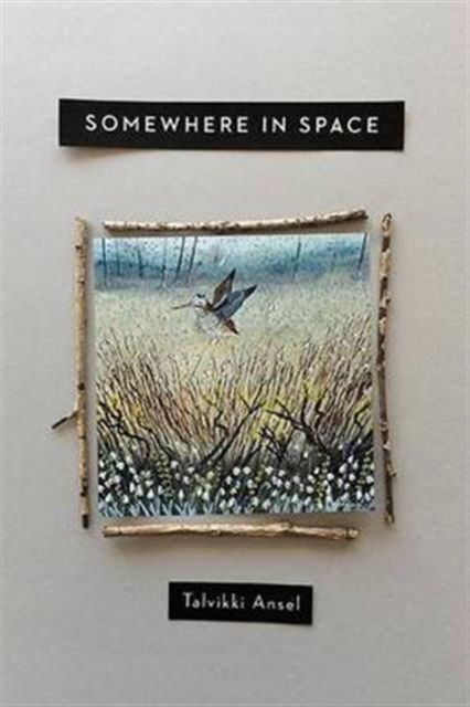 Cover for Talvikki Ansel · Somewhere in space (Book) (2015)