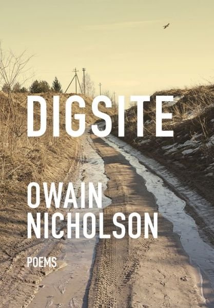 Cover for Owain Nicholson · Digsite (Paperback Book) (2017)