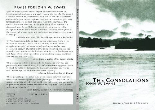 Cover for John W. Evans · The Consolations (Paperback Book) (2014)