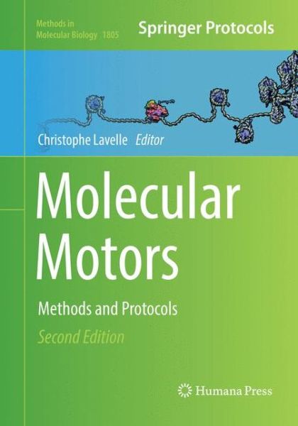 Cover for Molecular Motors (Book) [Softcover reprint of the original 2nd ed. 2018 edition] (2019)