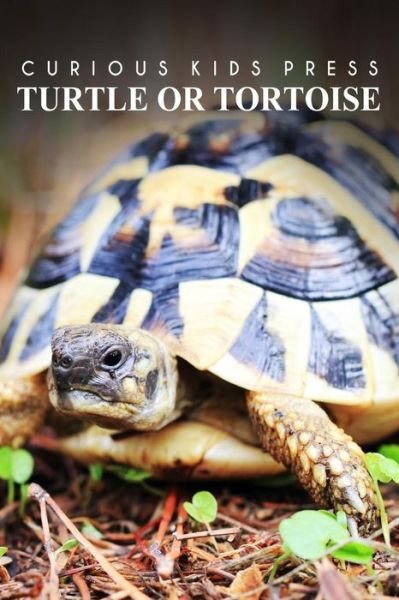 Cover for Curious Kids Press · Turtle or Tortoise - Curious Kids Press: Kids Book About Animals and Wildlife, Children's Books 4-6 (Paperback Book) (2014)