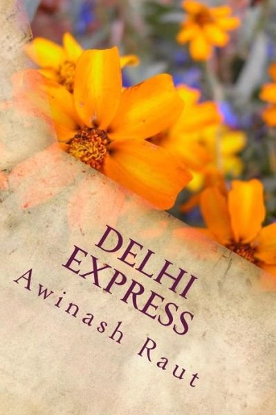 Cover for Awinash Nandkishor Raut · Delhi express (Pocketbok) (2016)