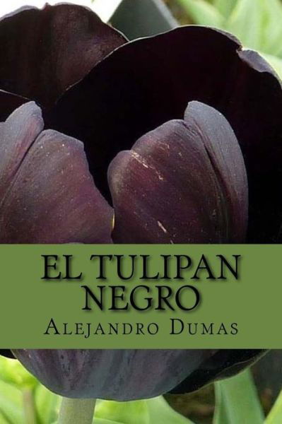 Cover for Alejandro Dumas · El Tulipan Negro (Spanish) Edition (Paperback Book) (2017)