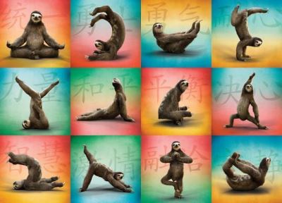 Cover for Willow Creek Press · Sloth Yoga Jigsaw (N/A) (2018)