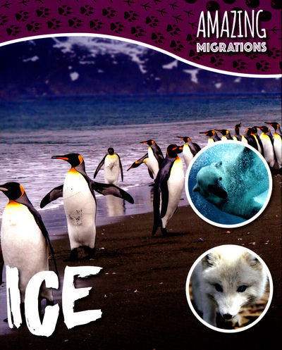 Cover for Harriet Brundle · Ice - Amazing Migrations (Hardcover Book) (2017)