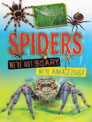Spiders We're Not Scary We're Amazing - Ruth Owen - Książki - Ruby Tuesday Books Ltd - 9781788563246 - 30 czerwca 2023