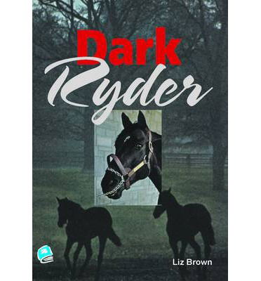 Cover for Liz Brown · Dark Ryder - High Interest Teenage Series (Paperback Book) (2007)