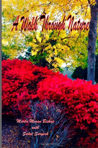 Cover for Saket Suryesh · A Walk Through Nature (Paperback Book) (2013)