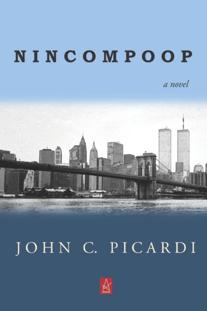 Cover for John C Picardi · Nincompoop (Paperback Book) (2021)