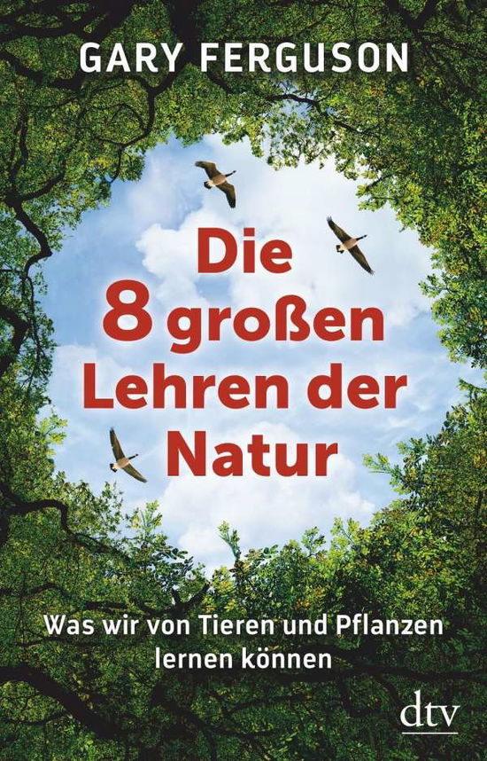 Cover for Ferguson · Die acht großen Lehren der Nat (Book)