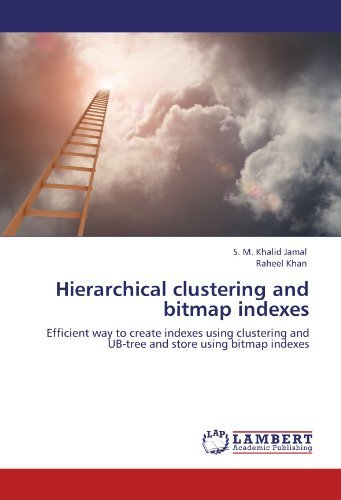 Cover for Raheel Khan · Hierarchical Clustering and Bitmap Indexes: Efficient Way to Create Indexes Using Clustering and Ub-tree and Store Using Bitmap Indexes (Pocketbok) (2012)