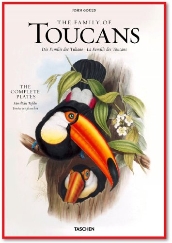 Cover for John Gould · John Gould, Family of Toucans (Hardcover Book) (2011)