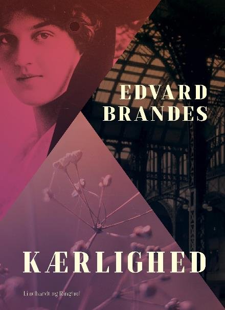Cover for Edvard Brandes · Kærlighed (Taschenbuch) [2. Ausgabe] (2017)