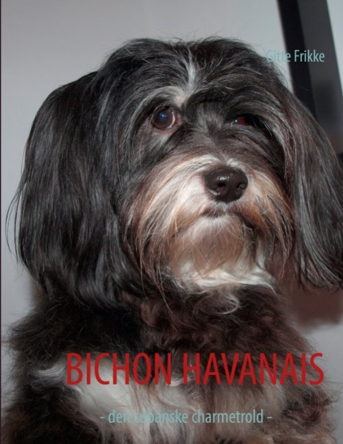 Cover for Gitte Frikke; Gitte Frikke · Bichon Havanais (Paperback Book) [1.º edición] [Paperback] (2012)