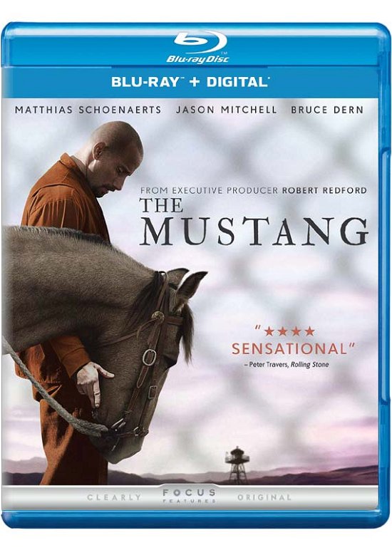 Cover for Mustang (Blu-ray) (2019)