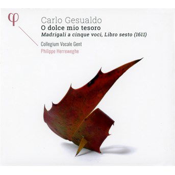 O Dolce Mio Tesoro - C. Gesualdo - Musique - PHI - 5400439000247 - 1 novembre 2016