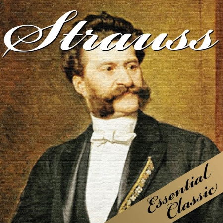 Johann Strauss - Essential Classic - Strauss - Music - ESSENTIAL CLASSIC - 8030615040247 - 