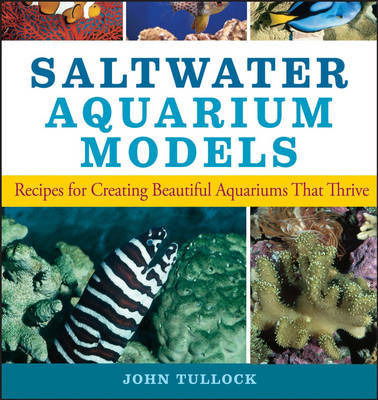 Cover for John H. Tullock · Saltwater Aquarium Models: Recipes for Creating Beautiful Aquariums That Thrive (Paperback Book) (2006)