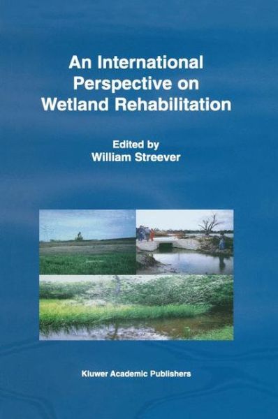 Cover for William Streever · An International Perspective on Wetland Rehabilitation (Hardcover Book) [1999 edition] (1999)