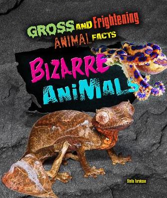 Cover for Stella Tarakson · Bizarre Animals - Gross and Frightening Animal Facts (Hardcover Book) (2017)