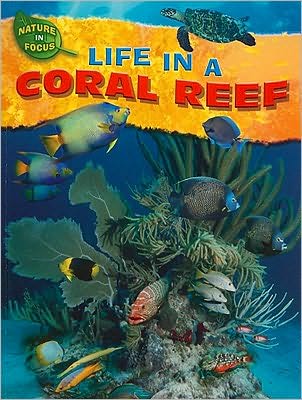 Cover for Jen Green · Life in a coral reef (Book) (2010)