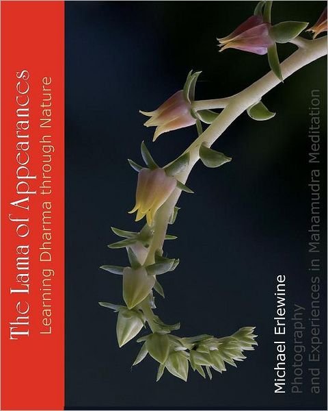 Cover for Michael Erlewine · The Lama of Appearances: Learning Dharma Through Nature (Pocketbok) (2010)