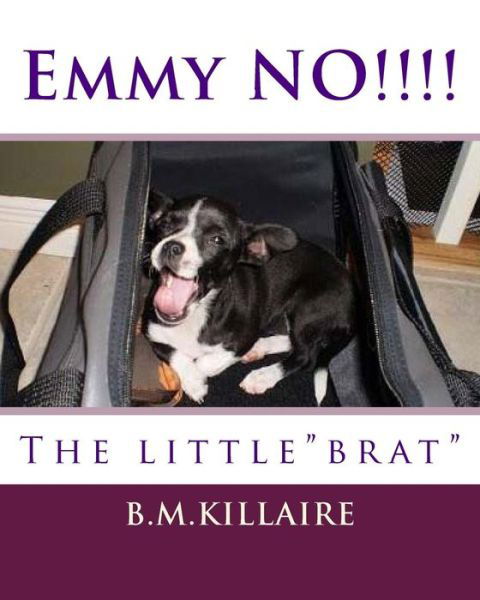Cover for B M Killaire · The Name is Emmy Lou Sue. the Little Brat (Paperback Book) (2013)
