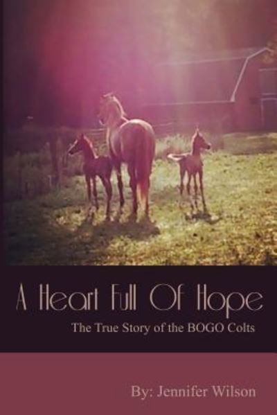 A Heart Full of Hope - Jennifer Wilson - Books - Createspace Independent Publishing Platf - 9781535595247 - July 29, 2016