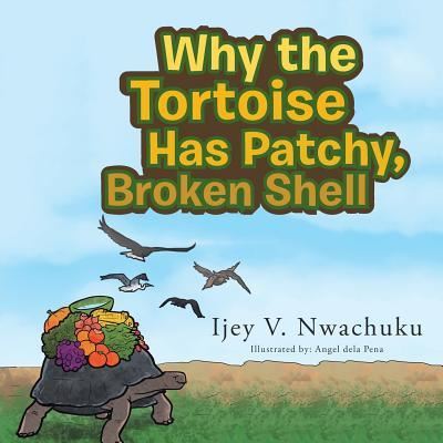 Why the Tortoise Has Patchy, Broken Shell - Ijey Nwachuku - Books - Xlibris US - 9781543415247 - May 26, 2018