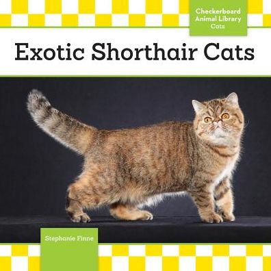 Cover for Stephanie Finne · Exotic Shorthair Cats (Cats Set 8) (Hardcover Book) (2014)