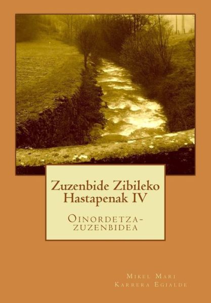 Cover for D Mikel Mari Karrera Egialde · Zuzenbide Zibileko Hastapenak IV (Pocketbok) (2018)