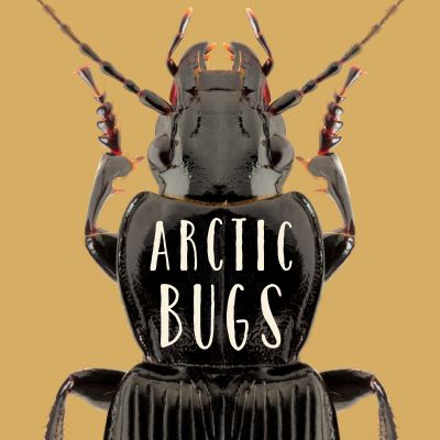 Cover for Arvaaq Press · Arctic Bugs: English Edition - Nunavummi Reading Series (Paperback Book) [English edition] (2018)