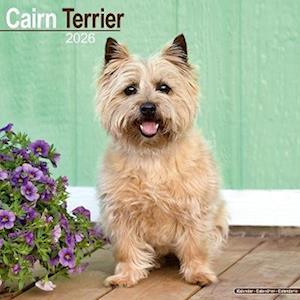 Cover for Cairn Terrier Calendar 2026  Square Dog Breed Wall Calendar - 16 Month (Calendar) (2025)