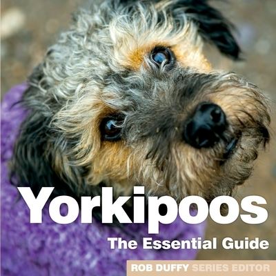 Cover for Yorkipoos: The Essential Guide (Paperback Book) (2020)