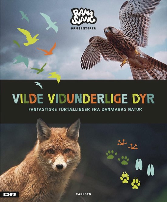 Cover for Elisabeth Kiertzner; Anja Vensild Hørnell · Vilde vidunderlige dyr (Bound Book) [1er édition] (2020)