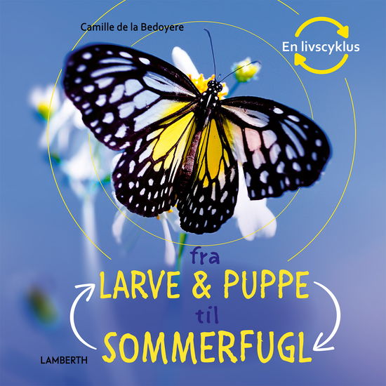 Cover for Camilla de la Bédoyère · En livscyklus: Fra larve og puppe til sommerfugl (Bound Book) [1er édition] (2023)