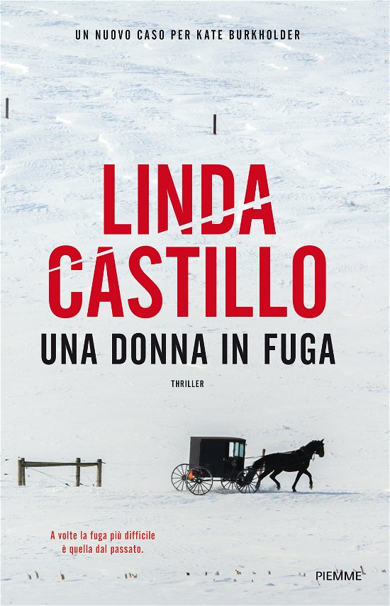 Cover for Linda Castillo · Una Donna In Fuga (Book)
