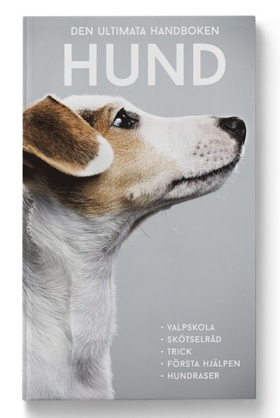 Cover for Agnes Olivia Eriksson · Den ultimata handboken: Den ultimata handboken : hund (Book) (2020)