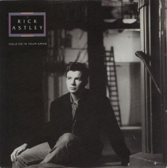 Cover for Rick Astley · Rick Astley-hold Me in Your Arms-k7 (MISC)