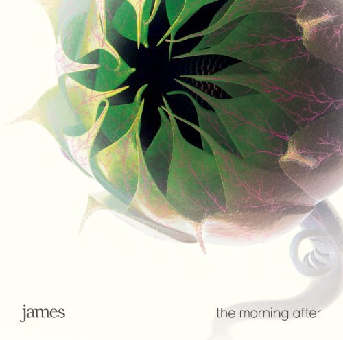 Cover for James · Morning After,the (Mini Al (CD) (2010)