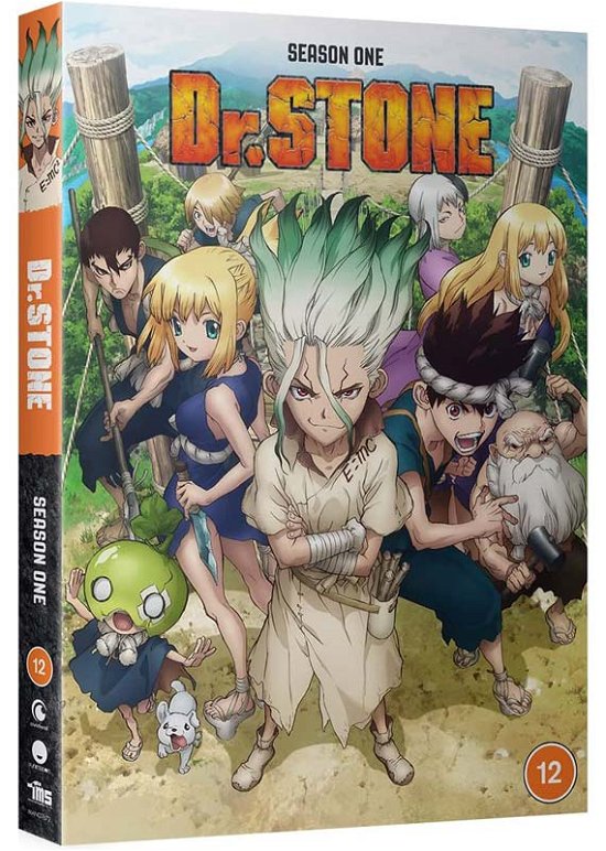 Cover for Dr. Stone - Season 1 · Dr Stone Season 1 (DVD) (2022)