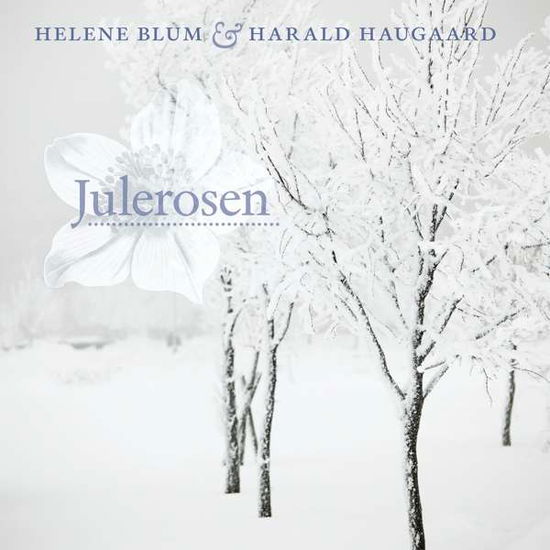 Julerosen (Christrose) - Blum,helene / Haugaard,harald - Musik - WESTPARK MUSIC - 5707471047248 - 17 november 2016