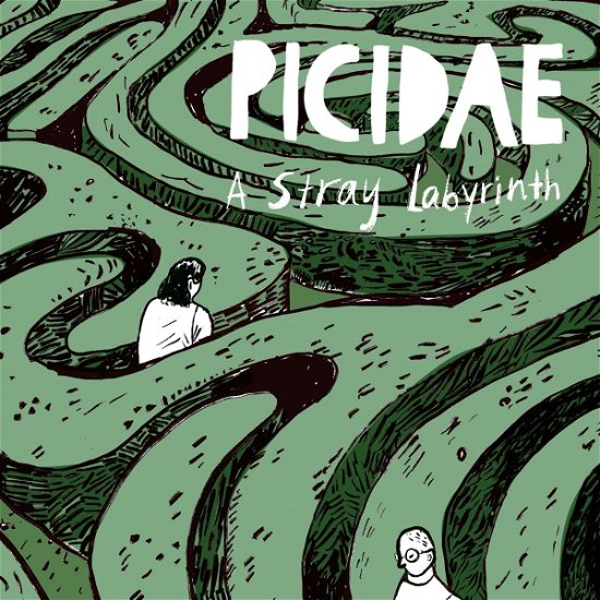 Cover for Picidae · A Stray Labyrinth (LP) (2023)