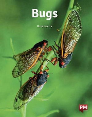 Cover for Rose Inserra · Bugs (Paperback Book)