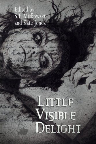 Cover for Lynda E. Rucker · Little Visible Delight (Paperback Book) (2013)