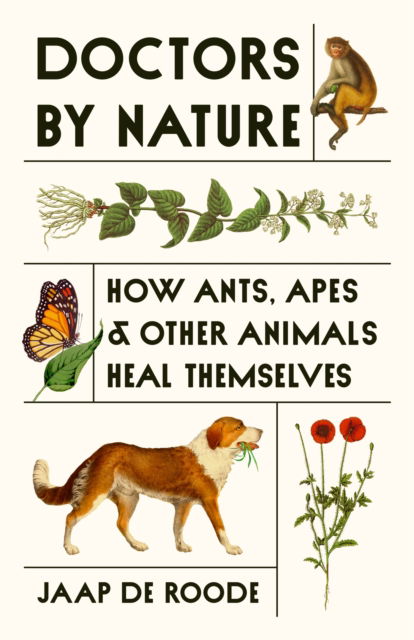 Cover for Jaap De Roode · Doctors by Nature: How Ants, Apes, and Other Animals Heal Themselves (Hardcover Book) (2025)