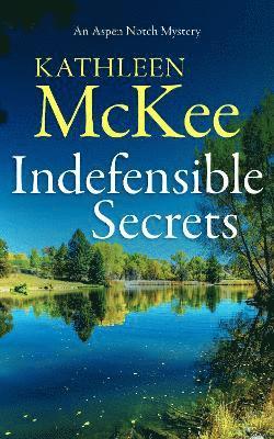 Cover for Kathleen McKee · The Indefensible Secrets (Paperback Book) (2025)