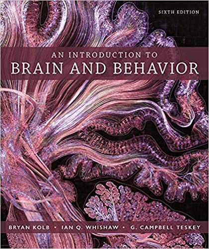 Cover for Bryan Kolb · An Introduction to Brain and Behavior 6e &amp; LaunchPad for An Introduction to Brain and Behavior (Hardcover Book) (2019)